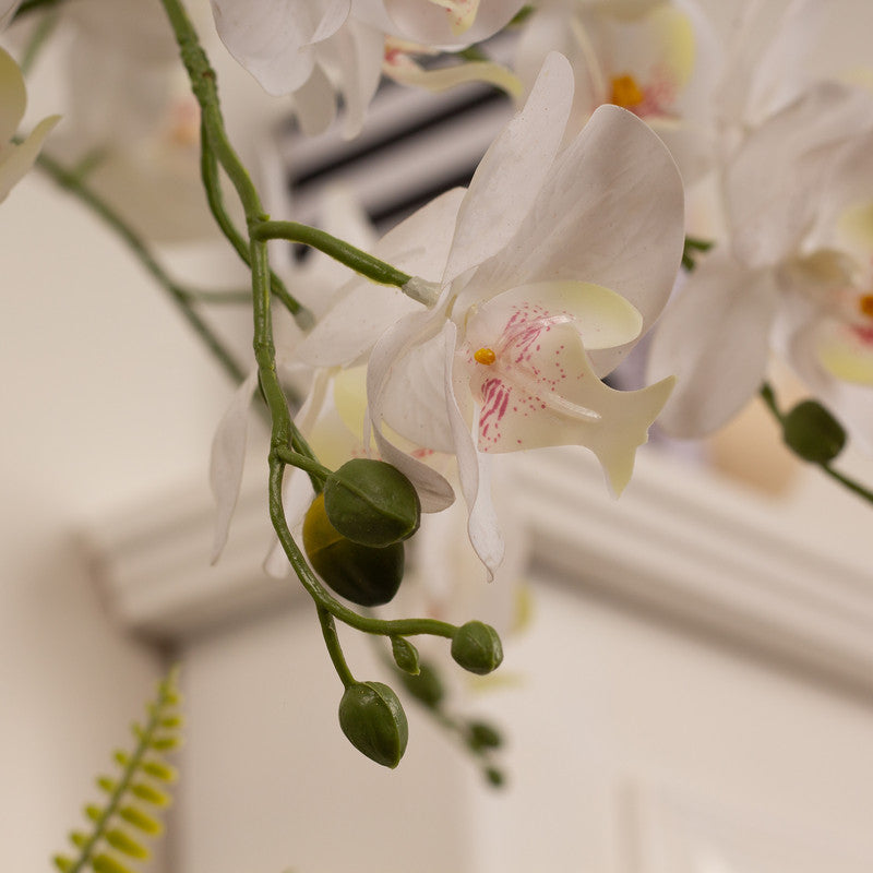 55cm Real Touch 5-Stem Artificial Orchid with Fern in Glass Pot